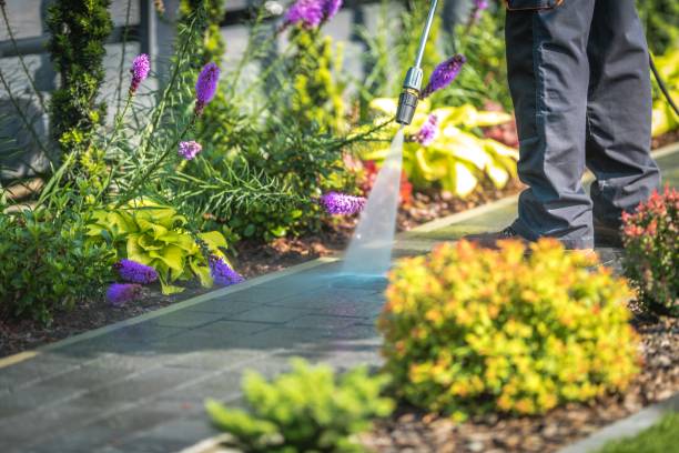 Best Pool Deck Cleaning  in Akron, IA